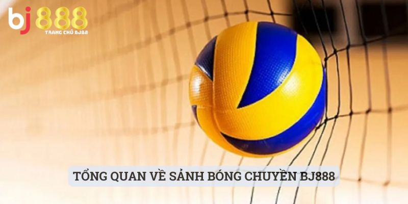 Tổng quan về sảnh bóng chuyền BJ888