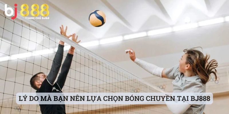 Lý do mà bạn nên lựa chọn bóng chuyền tại BJ888