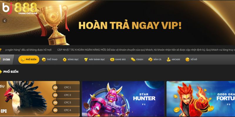 Thông tin tổng quan về điều khoản sử dụng BJ888
