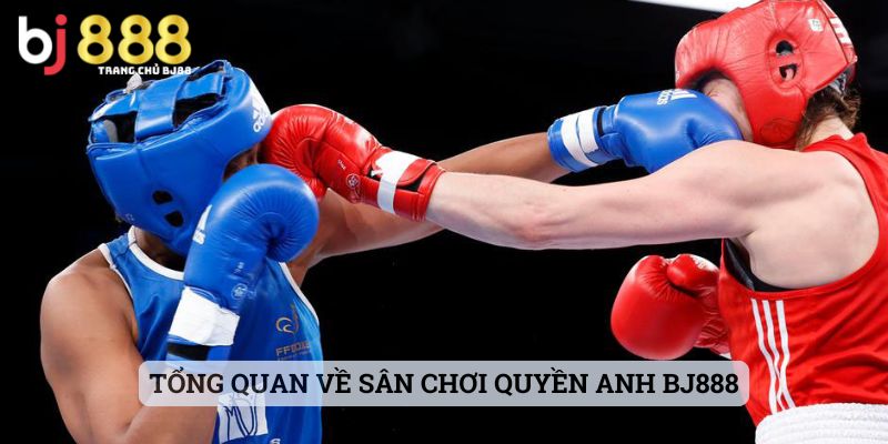 Tổng quan về sân chơi quyền anh BJ888