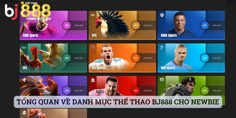 Tổng quan về danh mục thể thao BJ888 cho newbie