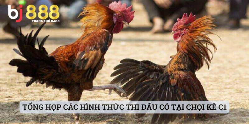Tổng hợp các hình thức thi đấu có tại chọi kê C1