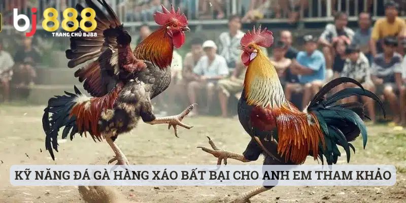 Kỹ năng đá gà hàng xáo bất bại cho anh em tham khảo nhanh chóng
