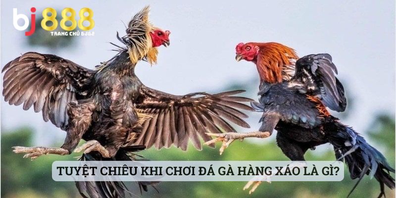 Tuyệt chiêu khi chơi đá gà hàng xáo là gì?
