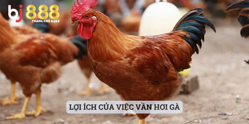 Lợi ích của việc vần hơi gà