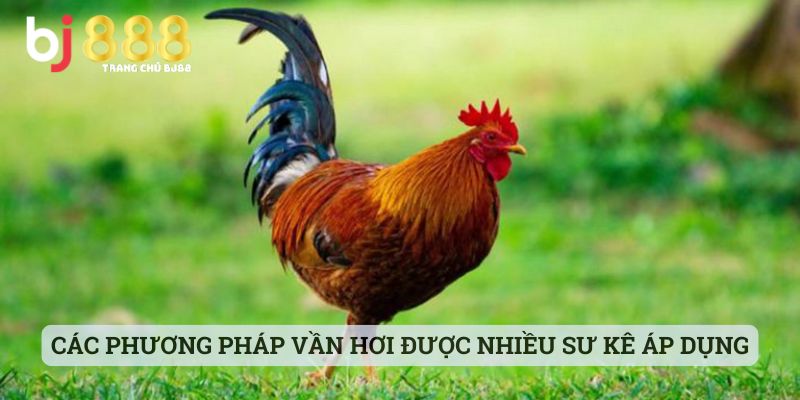 Các phương pháp vần hơi được nhiều sư kê áp dụng