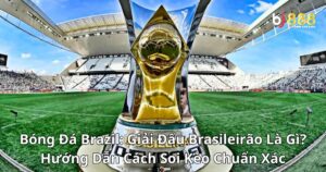 Bóng Đá Brazil: Giải Đấu Brasileirão Là Gì? Hướng Dẫn Cách Soi Kèo Chuẩn Xác