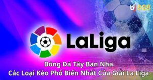 Bóng Đá Tây Ban Nha: Các Loại Kèo Phổ Biến Nhất Của Giải La Liga