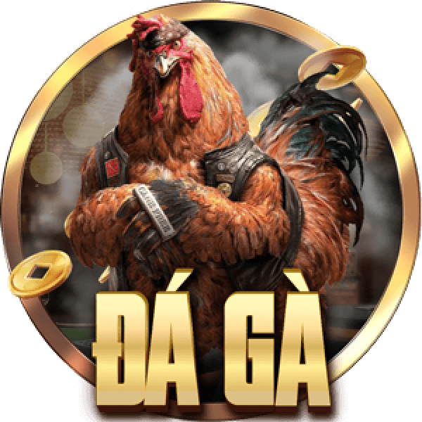 da-ga-bj888